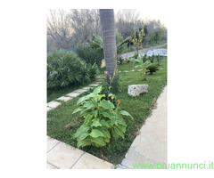 Terreno non edificabile mq7000 Privato