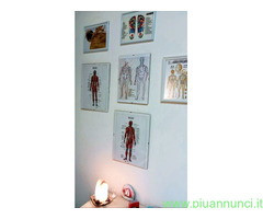 Studio Massaggi Professionali Wellness e Sport Mes