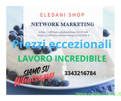 Disoccupato/a con esperienza annuale cerco lavoro in settore Internet