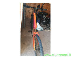 Bici professionale  cube