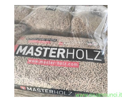 Pellet MASTERHOLZ pedana da 72 sacchi 15kh 180€