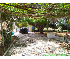 Affitto villa bifamiliare ideale pervacanza al mare mq80 numero localitre