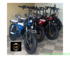Fat Bike