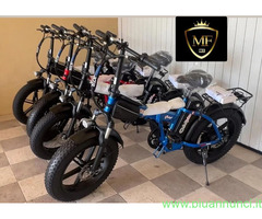 Fat Bike