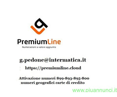 Consulti telefonici 899 e carte di credito
