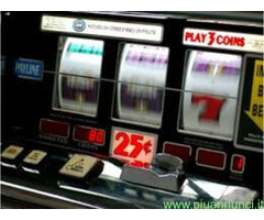 Bar F.TESTI mq132 Professionale