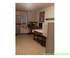 Affitto monolocale Punta Marina mq40 numero localiuno