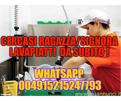Paskal Job cerca  Ragazza Lavastoviglie nel settore Turismo con  esperienza