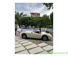 Auto Cerimonia Specia Rent