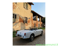 Noleggio auto