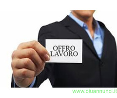 Ivan Bruno  cerca  Più mansioni disponibili nel settore Customer Service con  esperienza