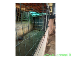 Affitto terreno non edificabile mq15 Privato