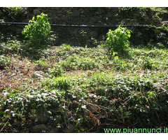 Terreno coltivabile mq3250 Privato