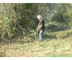 Terreno coltivabile mq3250 Privato
