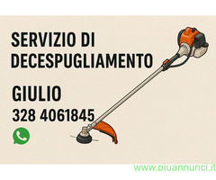 Impiegato/a con esperienza pluriennale cerco lavoro in settore Artigianato