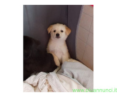 In regalo BABÀ e BIGNÈ taglia piccola