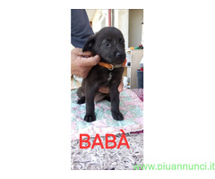In regalo BABÀ e BIGNÈ taglia piccola