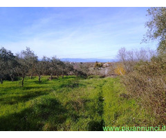 Terreno agricolo in zona Montecalvoli ( PI )
