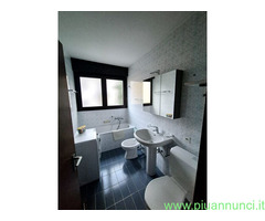 Affitto appartamento confine mq55 numero localidue