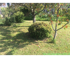 Affitto villa ideale pervacanza in completo relax mq140 numero localiquattro