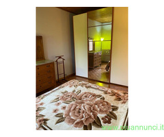 Posto letto instanza indipendente San Donato mq70 affitto Euro350