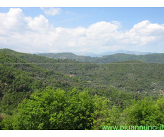 Terreno coltivabile mq3250 Privato