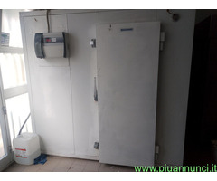 Cella freezer