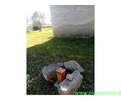 Affitto terreno edificabile mq8000 Privato
