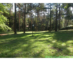 Terreno edificabile mq3600 Privato