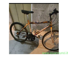Bicicletta