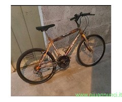Bicicletta