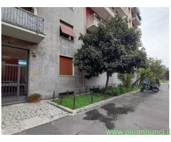 Appartamento mq98 Buono piano rialzato