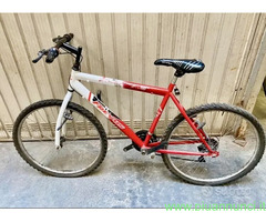 Bici Torpado anni 70