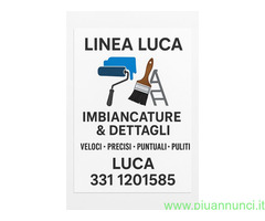Imbianchino professionista a Reggio Emilia