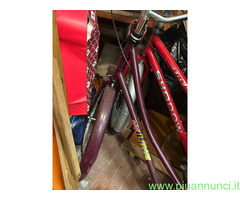 Due biciclette causa inutilizzo