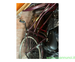 Due biciclette causa inutilizzo
