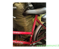 Due biciclette causa inutilizzo