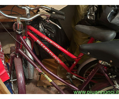 Due biciclette causa inutilizzo