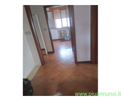 Affitto casa ZALAMELLA mq150 numero localicinque