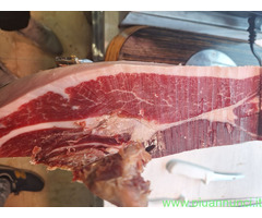 JAMON SPAGNOLO DI GHIANDA