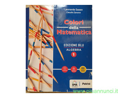 Colori della matematica. Quaderno. Ediz. blu. Per