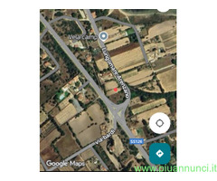 Terreno coltivabile mq1000 Privato