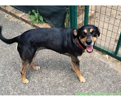 In regalo DOLCISSIMA MILLY