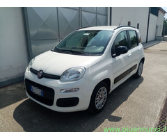 FIAT Panda 3ª serie Panda 1200 b  versione Lounge  E6 Utilitaria