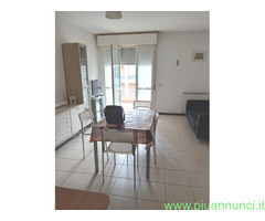 Affitto appartamento nuova darsena mq50 numero localidue