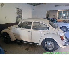Noleggio auto con conducente