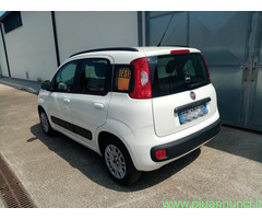 FIAT Panda 3ª serie Panda 1200 b versione Lounge E6 Utilitaria