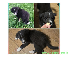 In regalo UNA MAMMA PER OREO