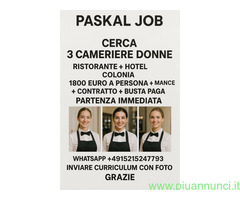 Paskal Job cerca  3 CAMERIERE DONNE GERMANY nel settore Alberghiero con  esperienza