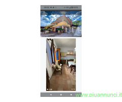 Affitto appartamento ideale pervacanza al mare mq30 numero localidue